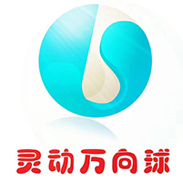 兴化市灵动万向球厂